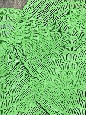 Set of 4 spring summertime sunshine Green Woven Placemat Chargers